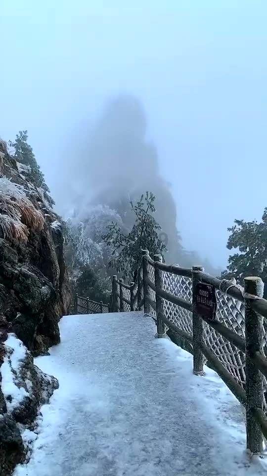 熊出没百层大冒险