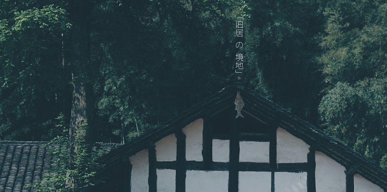花的名字？游戏画面