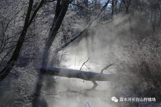 高意帮助队伍拿下赛点，赢下首局“最强副攻之战”