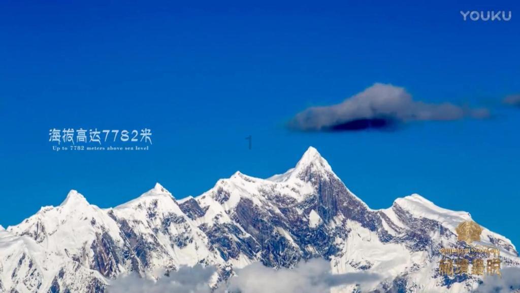 战争机器