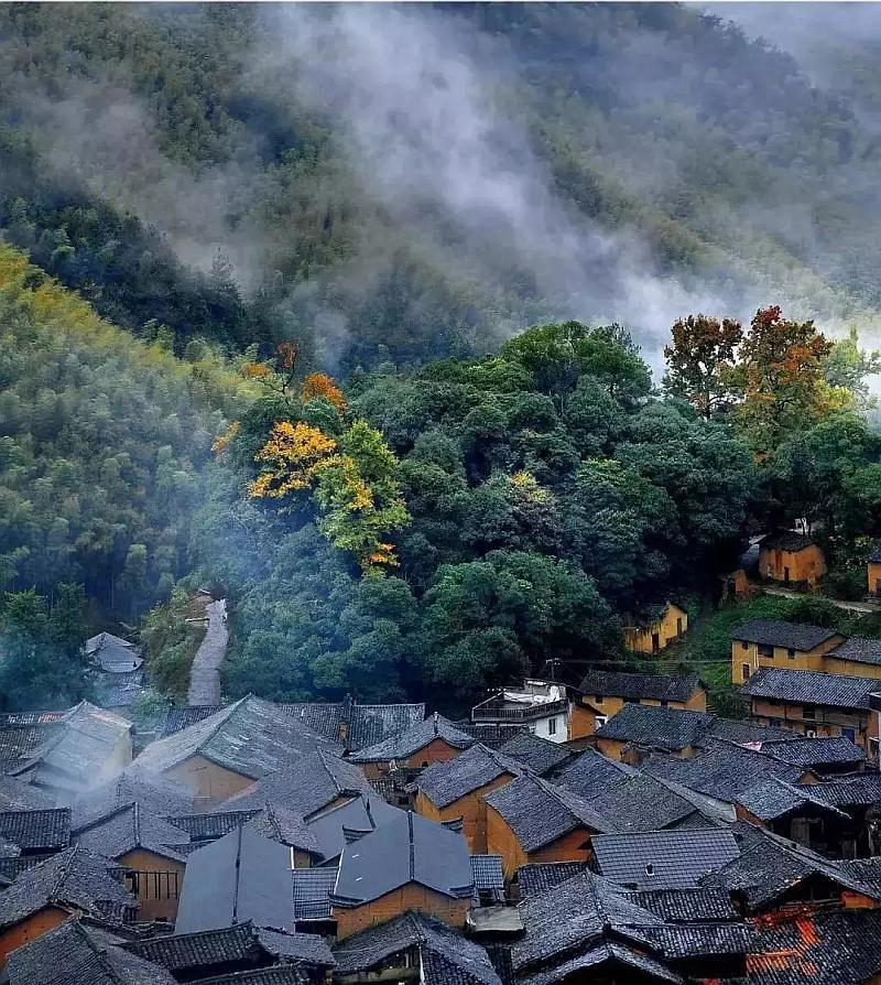 塔科马