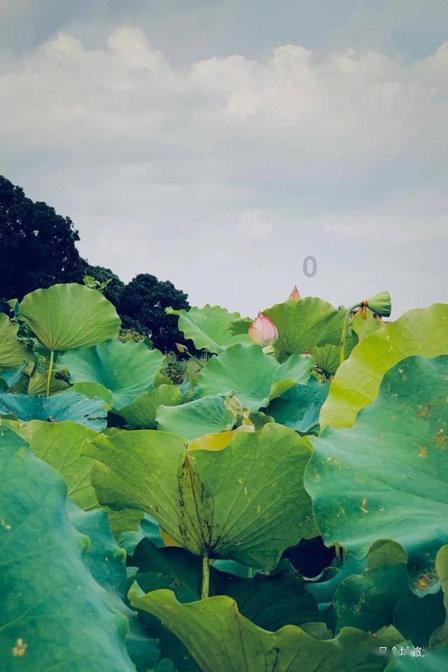 逃出漂浮的小岛