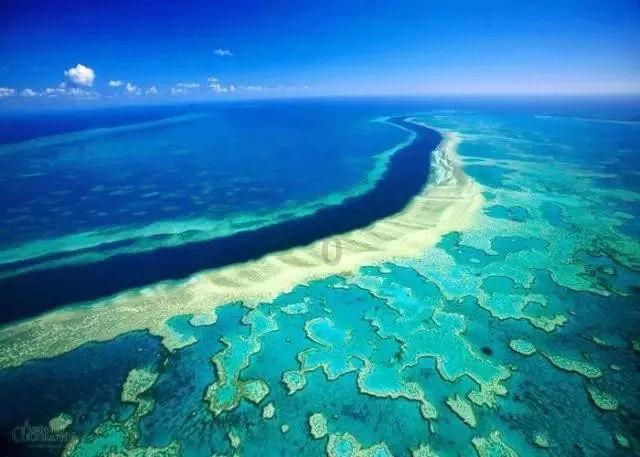 世界旅游联盟张旭:致力于推动旅游减贫和促进共富