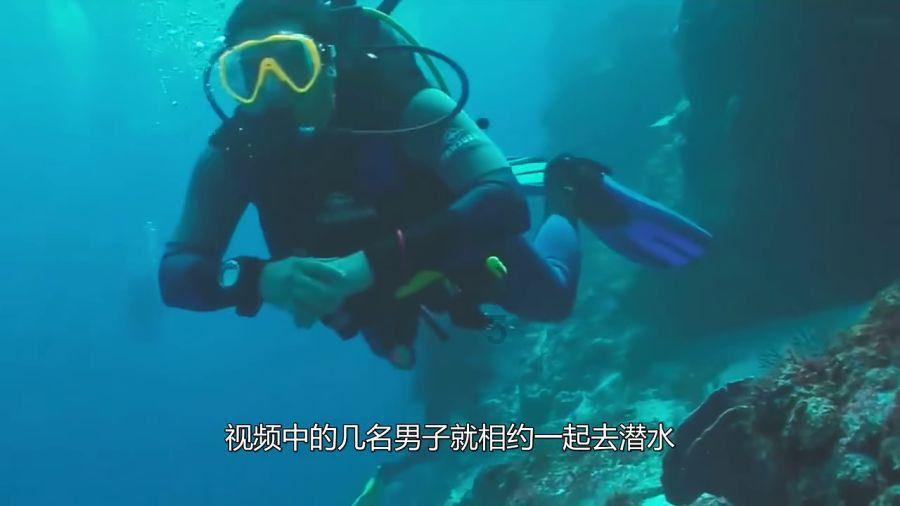 蓝狐视频