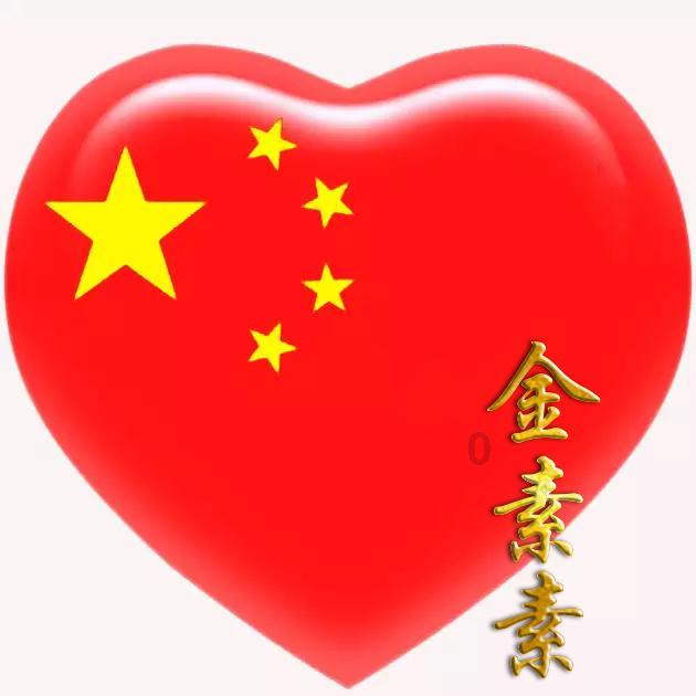 全村集体心动！猫咪的魅力无人能挡！