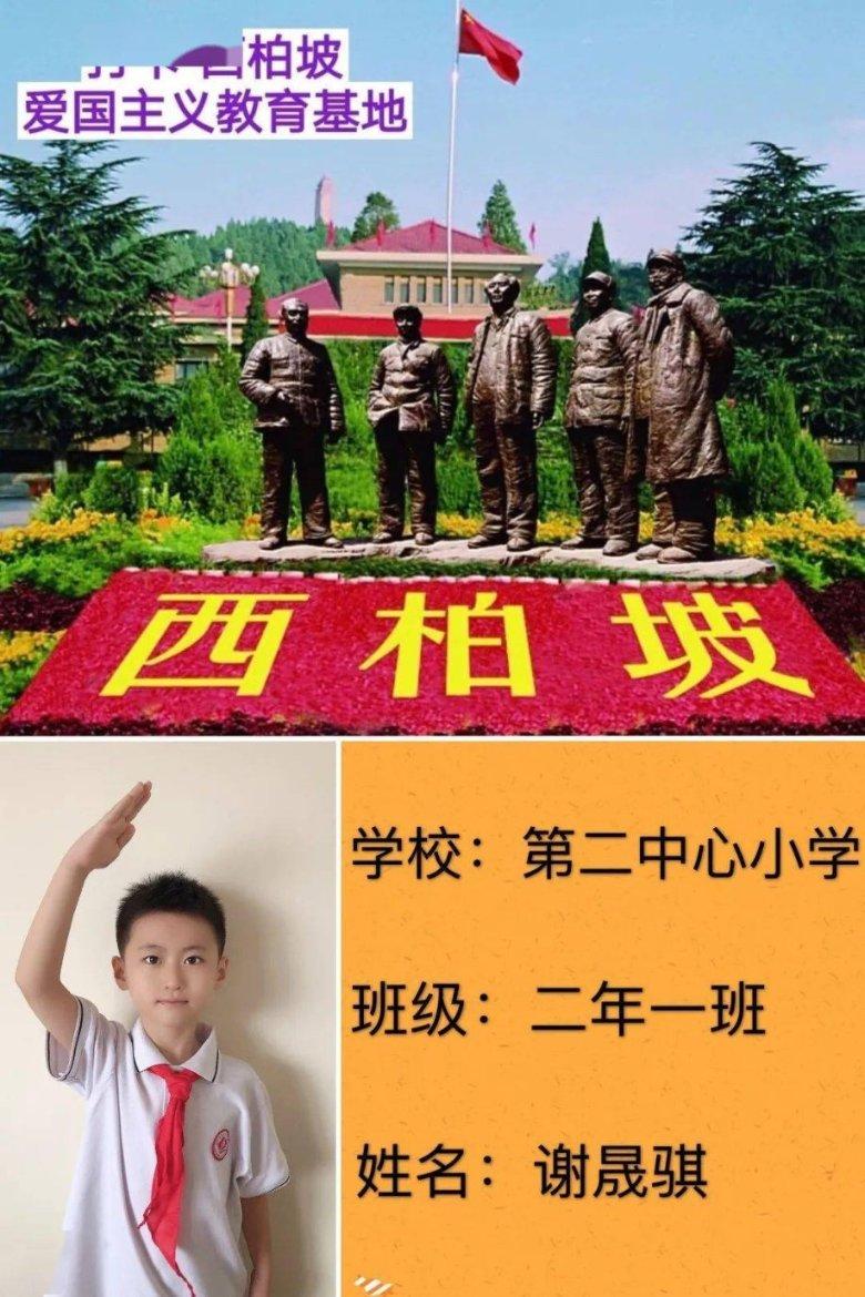 超能动物联盟
