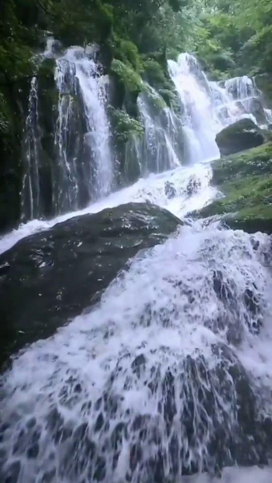 迎春送福 传承传统（图）