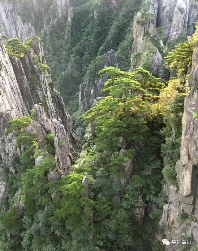 设计完美婚礼蛋糕