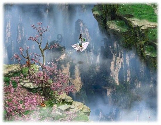 白莲花守则
